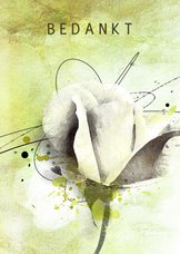 Bedankkaart groen witte roos