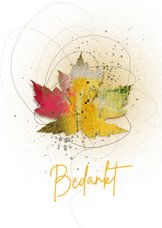 Bedankkaart herfstblad in kleur