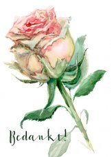 Bedankkaart met geschilderd roze roos
