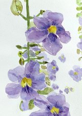 Bloemenkaart paarse bloemen aquarel