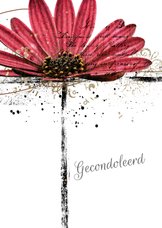 Condoleancekaart gerbera flower