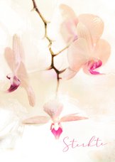 Condoleancekaart hangende orchidee pastel