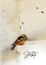 Condoleancekaart vogel op papier
