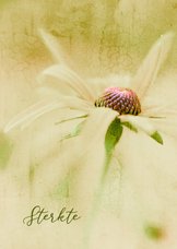 Condoleancekaart zonnehoed bloem sereen