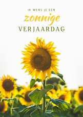 de Zonnebloem - Zonnige verjaardagskaart met zonnebloemen