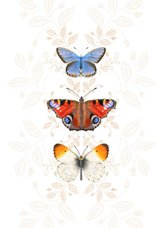 Dierenkaart vlinders botanisch