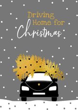 Driving Home For Christmas met boom en auto