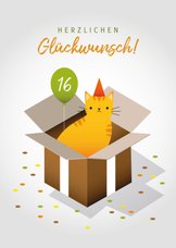 Duitse verjaardagskaart met een kat in een doos