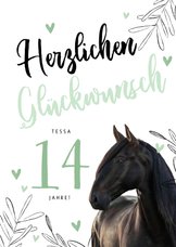 Duitse verjaardagskaart met een paard