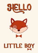 Felicitatie geboorte kaartje jongen vos