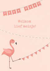 Felicitatie geboorte met slingers flamingo