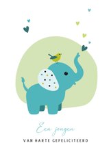 Felicitatie met olifantje en hartjes