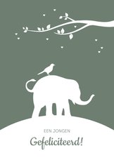 Felicitatie - Silhouet olifant met vogel