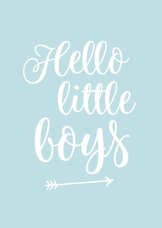 Felicitatie - tweeling hello little boys
