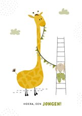 Felicitatiekaart geboorte van een jongen met een giraffe