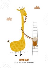 Felicitatiekaart zwangerschap met giraffe en vlaggetjes