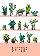 Fleurig kaartje cactus plantjes