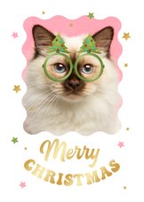 Fotokaart humor kat kerstbomen bril sterren