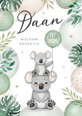 Geboortekaartje broertje zusje koala dieren ballonnen jungle