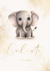 Geboortekaartje olifantje met gouden accenten