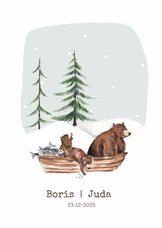 Geboortekaartje winter tweeling beren in een bootje