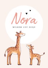Geboortekaartje zusje lief met giraf illustratie