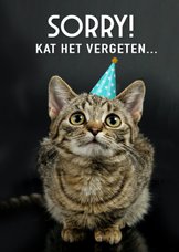 Grappige te laat verjaardagskaart sorry met kat