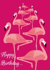 Happy birthday flamingo's