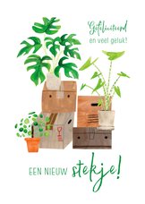 Hippe felicitatiekaart nieuw stekje met planten verhuisdozen