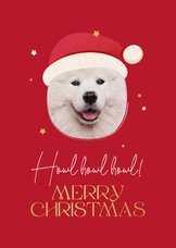 Kerstkaart howl merry christmas hond kerstmuts sterren