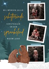 Kerstkaart met fotocollage en illustratie van 3 beren