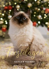 Kerstkaart met grote eigen foto van kat 