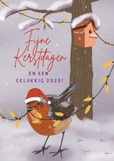 Kerstkaart roodborstje met vogelhuisje