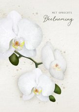 Klassieke condoleancekaart met een witte orchidee