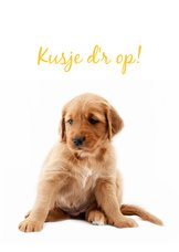 KNGF Geleidehond beterschapskaart 'kusje d'r op!'