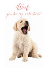 KNGF Geleidehond valentijnskaart woof you be my valentine?