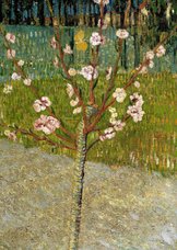 Kunstjaart Vincent van Gogh. Perenboompje in bloesem
