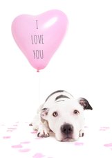 Liefde kaart - Hond hart ballon