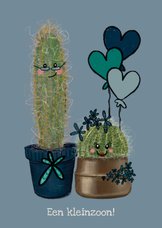 Lieve felicitatiekaart geboorte kleinzoon met cactussen