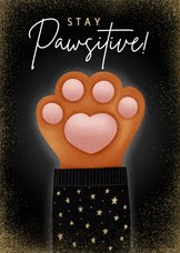 Lieve nieuwjaarskaart Stay Pawsitive met kattenpootje