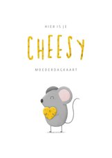 Moederdag cheesy met muisje en kaas