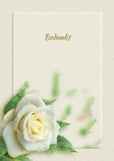 Mooie bedankkaart met wit-gele roos en tekstvoorstel