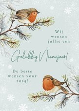 Nieuwjaarskaart roodborstjes natuurlijk illustratie sneeuw