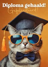 Oranje kaartje diploma gehaald gefeliciteerd met kat
