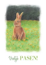 Paaskaart konijn in bloemenveld