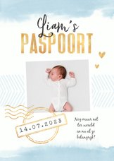 Paspoort geboortekaartje waterverf jongen stempels goud