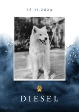 Rouwkaart hond stijlvol verf goud foto hondenpootje