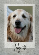 Rouwkaart huisdier - grijs met foto