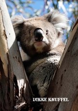 Sterkte kaart dikke knuffel koala