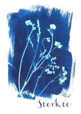 Sterkte kaart geplukte bloemen blauw